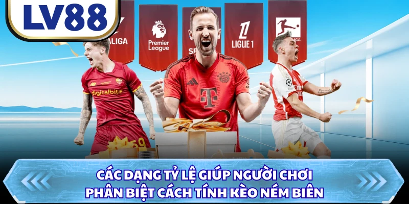 Các dạng tỷ lệ giúp người chơi phân biệt cách tính kèo ném biên