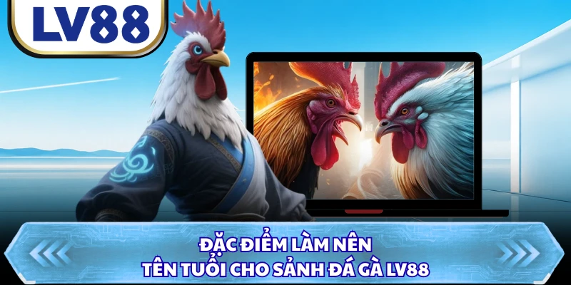 Đặc điểm làm nên tên tuổi cho sảnh đá gà LV88