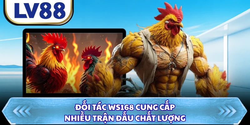 Đối tác Ws168 cung cấp nhiều trận đấu chất lượng